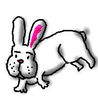 rabit4