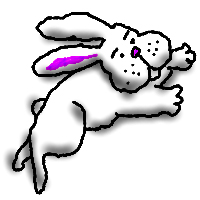 rabit8